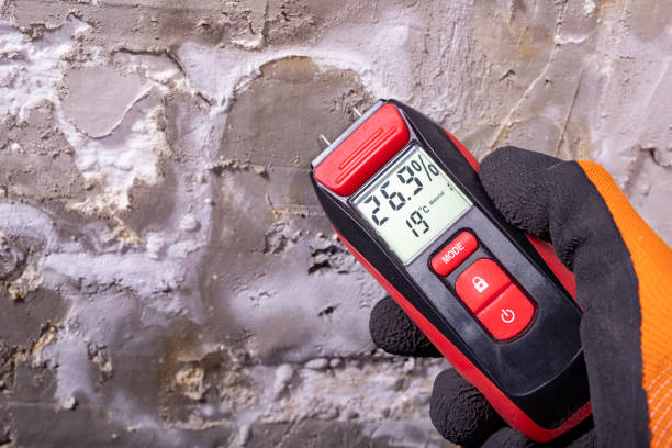 Best Toxic Mold Removal  in Fair Haven, NY